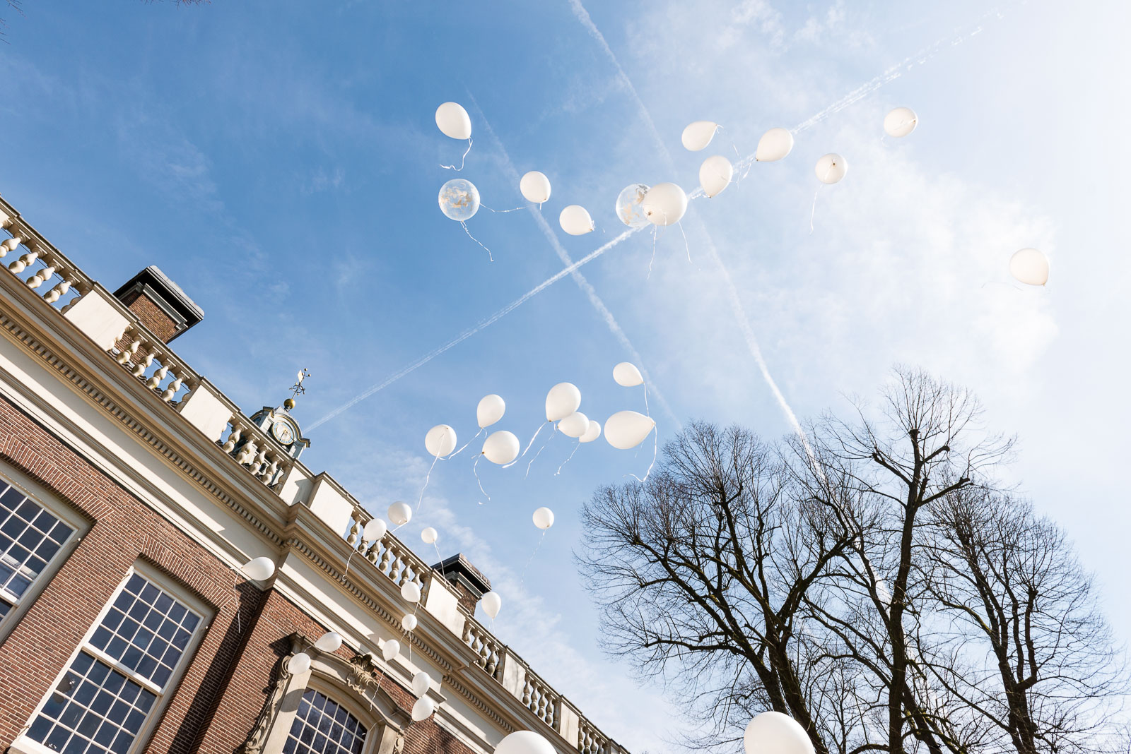 Ballonnen-Bruiloft-Sparrendaal