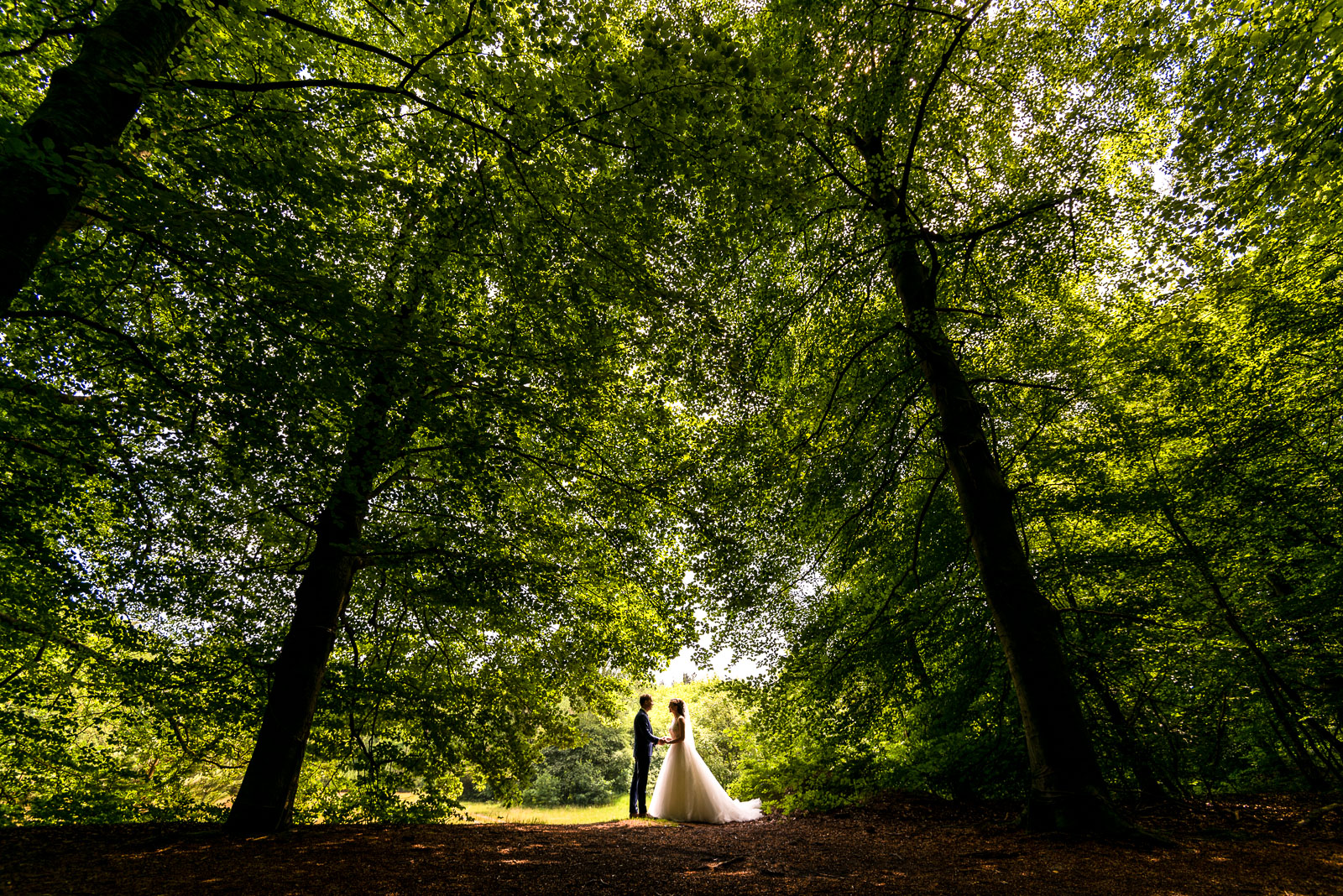 Trouwfotograaf Baarn Utrecht Hooge Vuursche